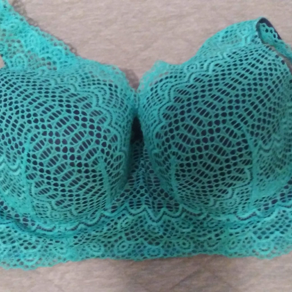 Lane Bryant Cacique bro